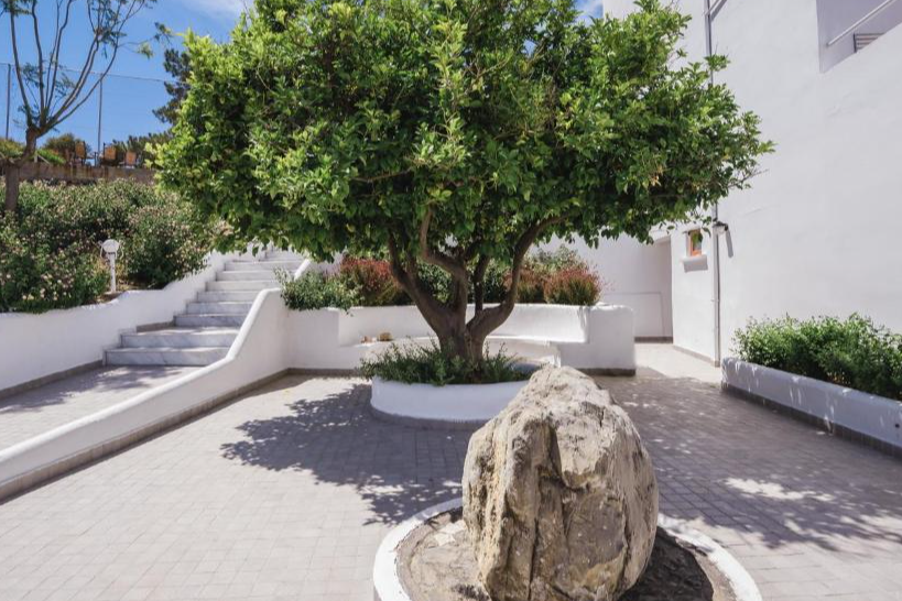 Lindos Village Resort & Spa | tuin